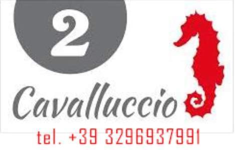 Mar&Sol Hotel Termoli Exterior foto